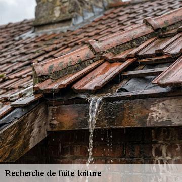 Recherche de fuite toiture cachan-94230 Artisan Van Been