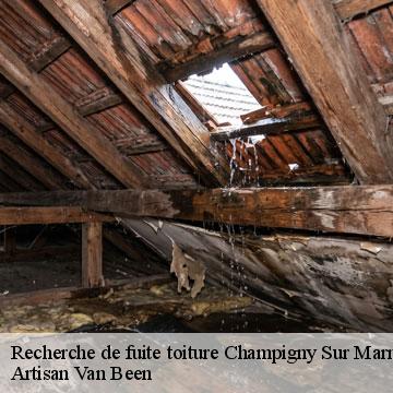 Recherche de fuite toiture champigny-sur-marne-94500 Artisan Van Been