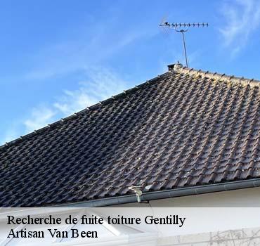 Recherche de fuite toiture  gentilly-94250 Artisan Van Been