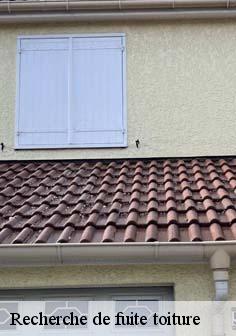 Recherche de fuite toiture  limeil-brevannes-94450 Artisan Van Been