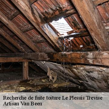 Recherche de fuite toiture le-plessis-trevise-94420 Artisan Van Been