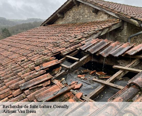 Recherche de fuite toiture coeuilly-94500 Artisan Van Been