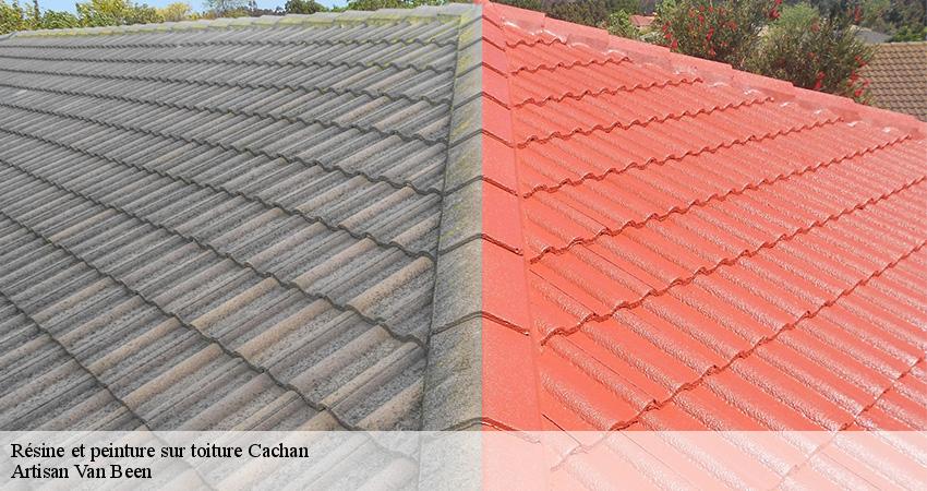 Résine et peinture sur toiture cachan-94230 Artisan Van Been