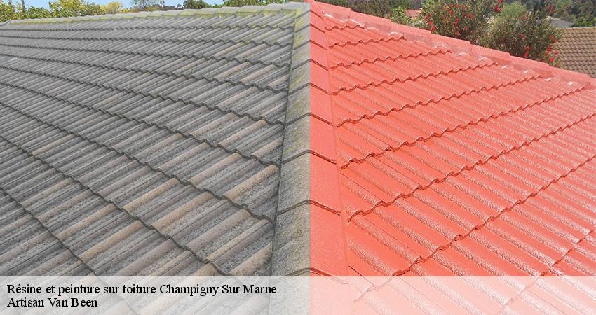 Résine et peinture sur toiture champigny-sur-marne-94500 Artisan Van Been