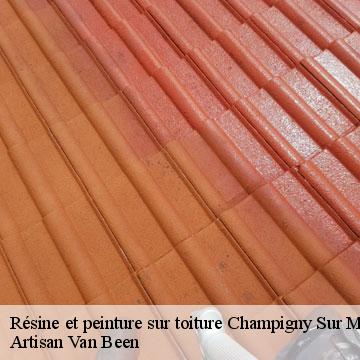 Résine et peinture sur toiture champigny-sur-marne-94500 Artisan Van Been