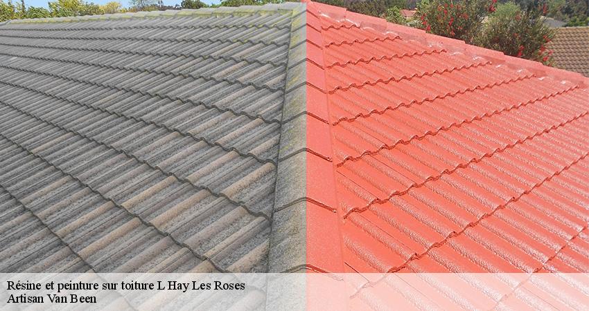 Résine et peinture sur toiture l-hay-les-roses-94240 Artisan Van Been