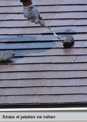 Résine et peinture sur toiture mandres-les-roses-94520 Artisan Van Been