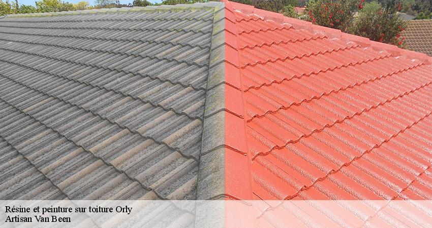 Résine et peinture sur toiture orly-94310 Artisan Van Been