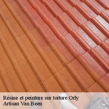 Résine et peinture sur toiture orly-94310 Artisan Van Been