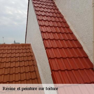 Résine et peinture sur toiture rungis-94150 Artisan Van Been