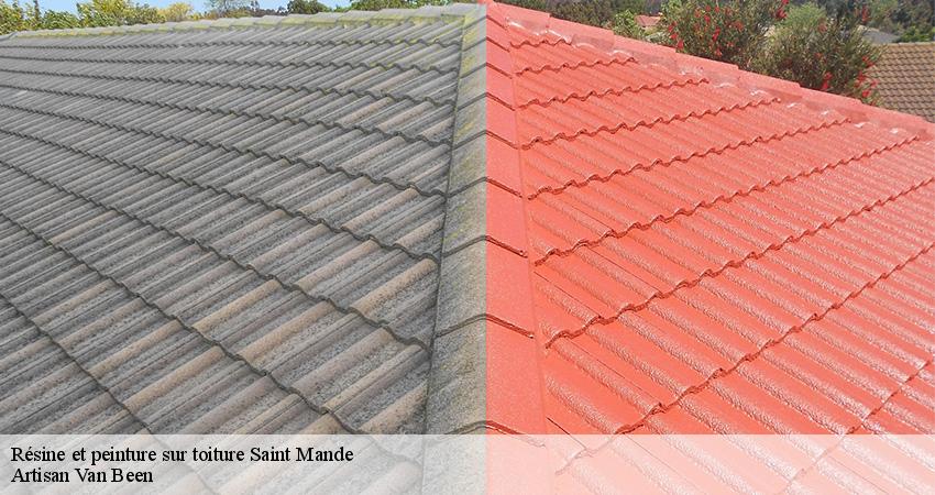 Résine et peinture sur toiture saint-mande-94160 Artisan Van Been
