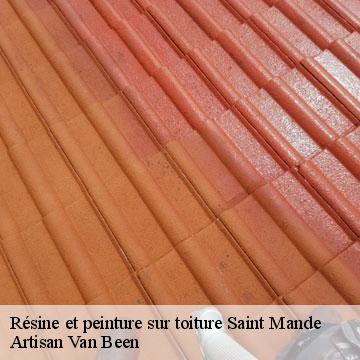 Résine et peinture sur toiture saint-mande-94160 Artisan Van Been