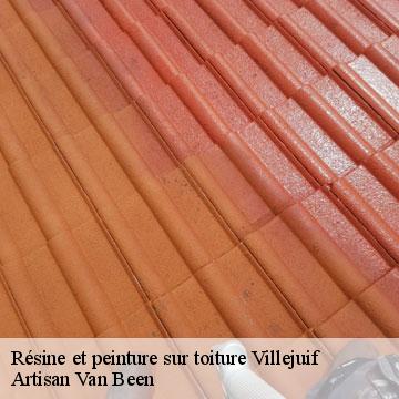 Résine et peinture sur toiture villejuif-94800 Artisan Van Been