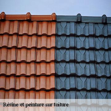 Résine et peinture sur toiture  les-bruyeres-94370 Artisan Van Been
