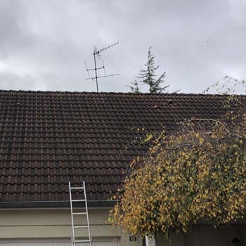 Nettoyage de toiture 94